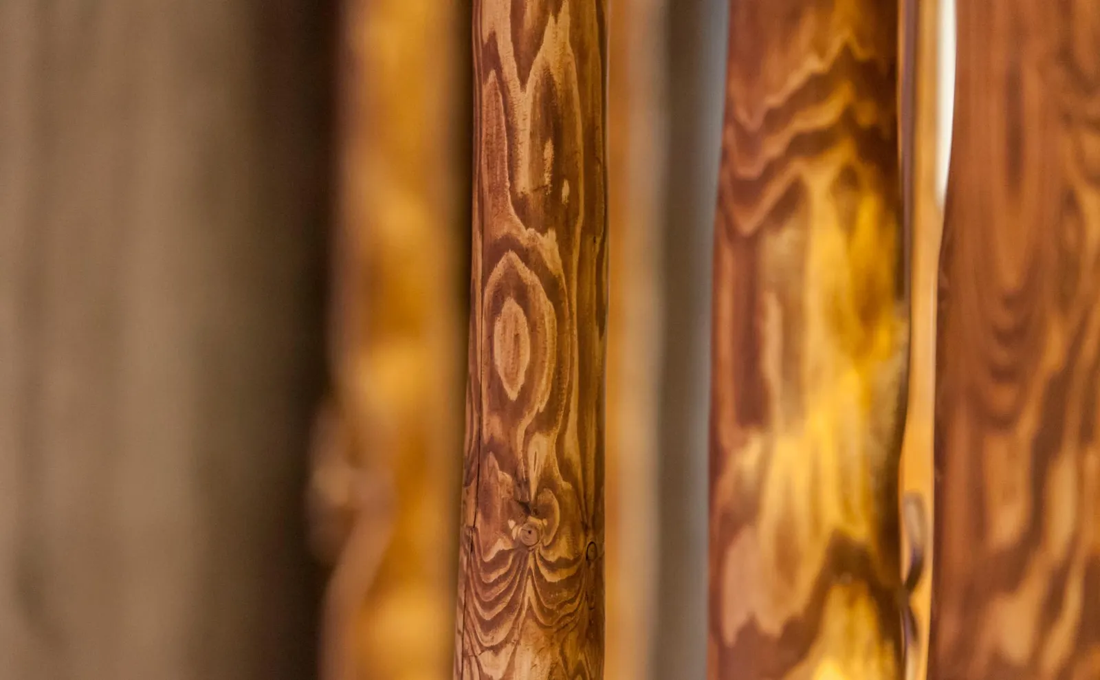 Real pine timber to replicate a natural forest