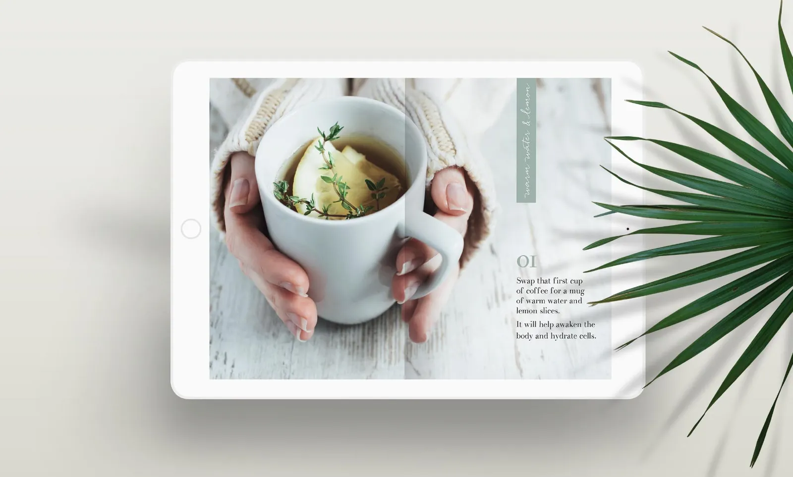 Butterscotch-Design-Homefield-Grange-e-book